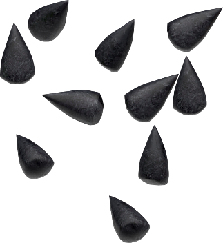 jadibuti5 